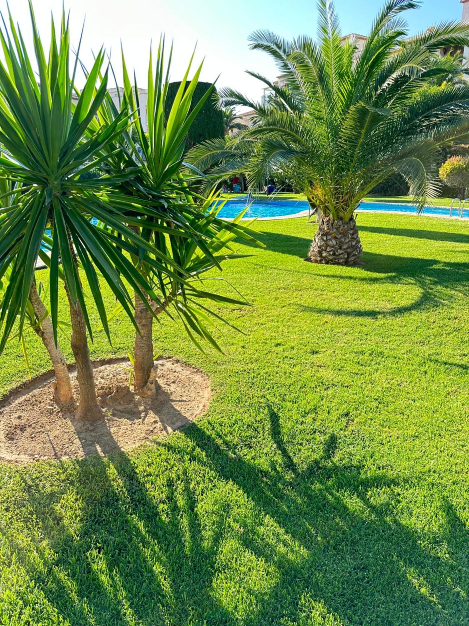 Alisa Costa Blanca Appartement *