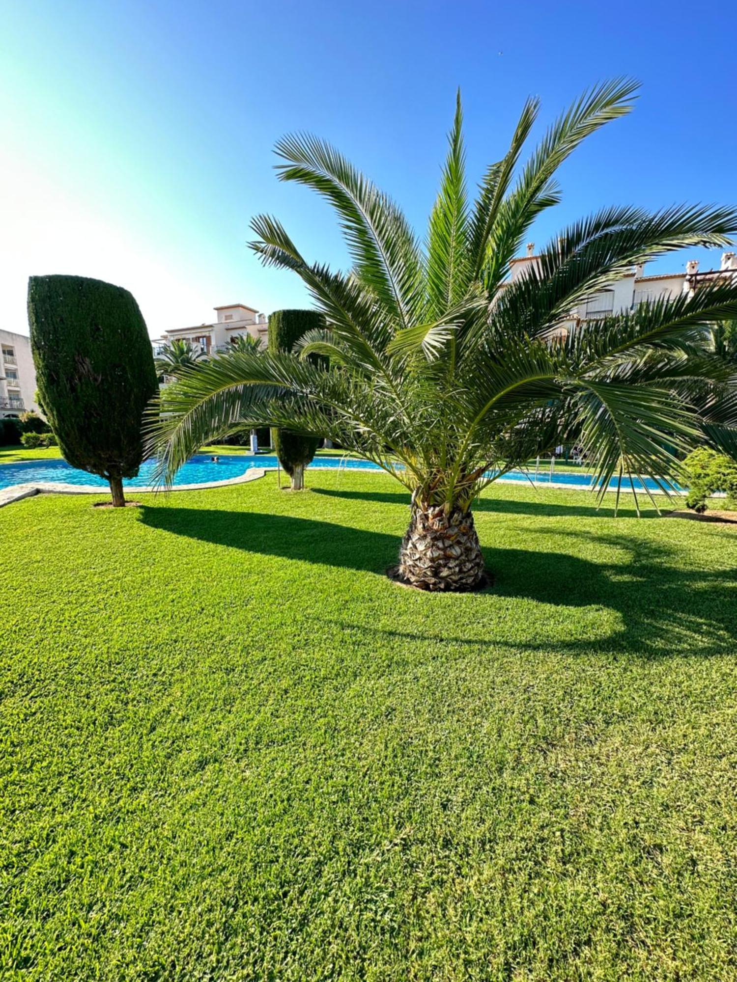 Alisa Costa Blanca Appartement *